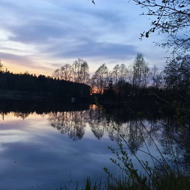 Pond. Weather forecasts with beautiful photos by Valiukas Photos in Lithuania