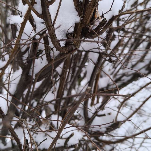 Dự báo thời tiết với những bức ảnh đẹp của Claudsch