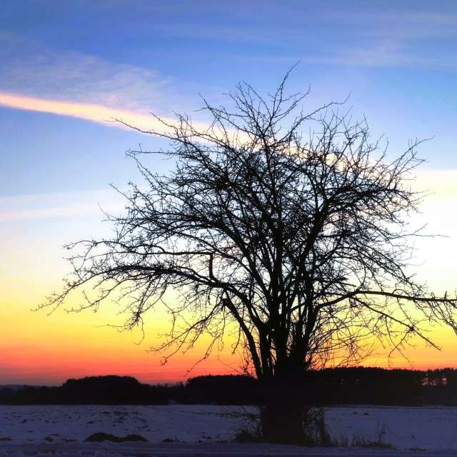 Weather forecasts with beautiful photos by T-Antonio