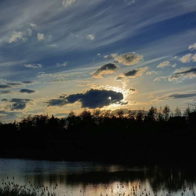 Motion. Weather forecasts with beautiful photos by Iryna Photos in Kharkiv