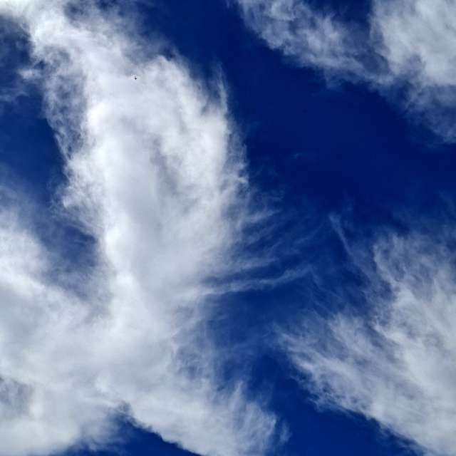 Fotos Cavalgando. Previsões do tempo com lindas fotos de Wen-ya Huang em Kaohsiung City