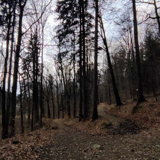 Schmutz. Wettervorhersagen mit schönen Fotos von Kripo Fotos Ladek Zdroj