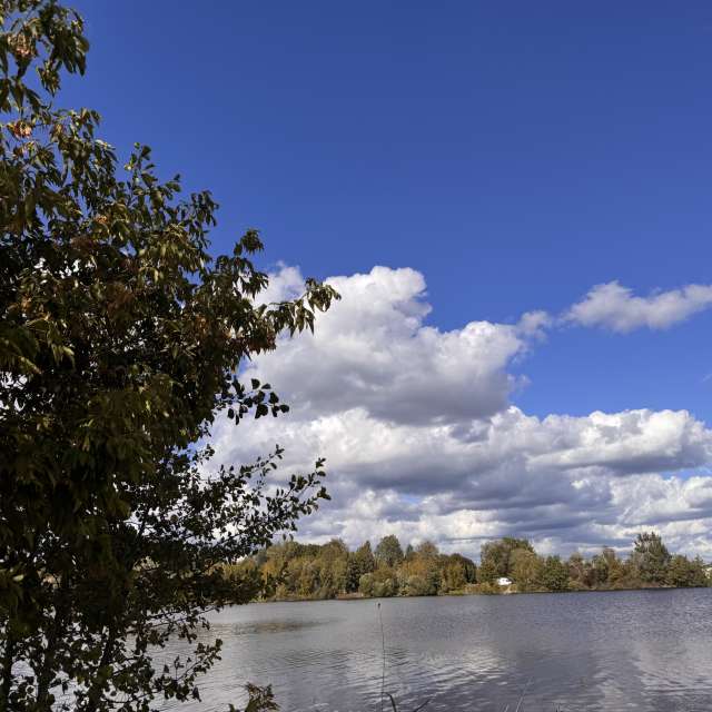Weather forecasts with beautiful photos by Svet-Lana