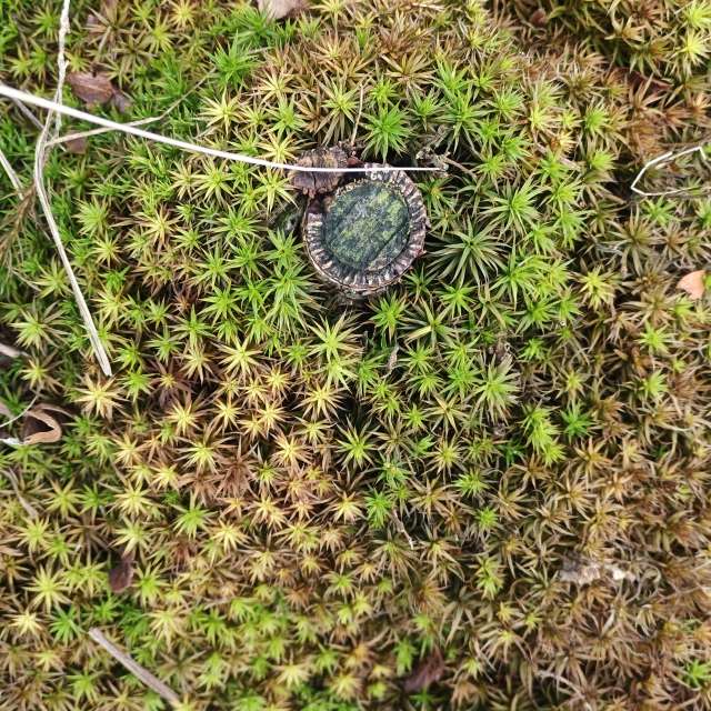 Weather forecasts with beautiful photos by zjabri