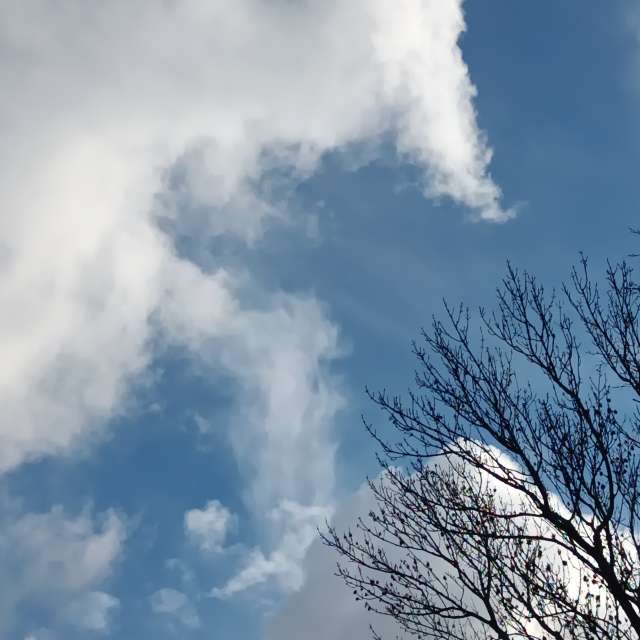 Fotos del Boca de aguas. Pronósticos del tiempo con hermosas fotos de YanBog en București