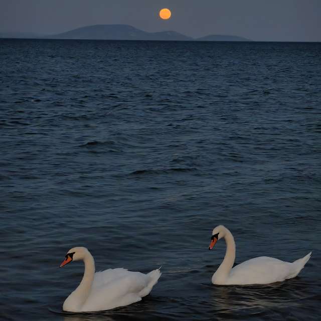 Previsões do tempo com lindas fotos de alex_0454