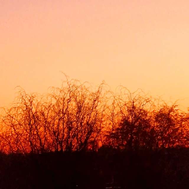 Fotos Andando. Previsões do tempo com lindas fotos de Seni em Velbert