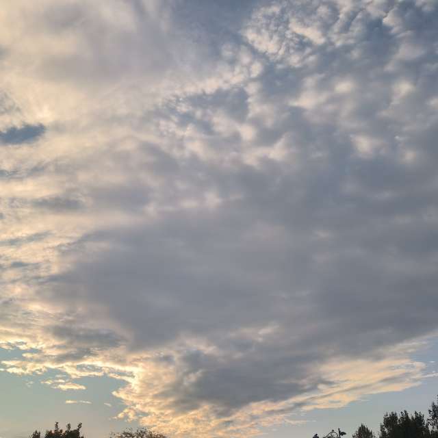 Fotos del Caminando. Pronósticos del tiempo con hermosas fotos de YanBog en Bucharest