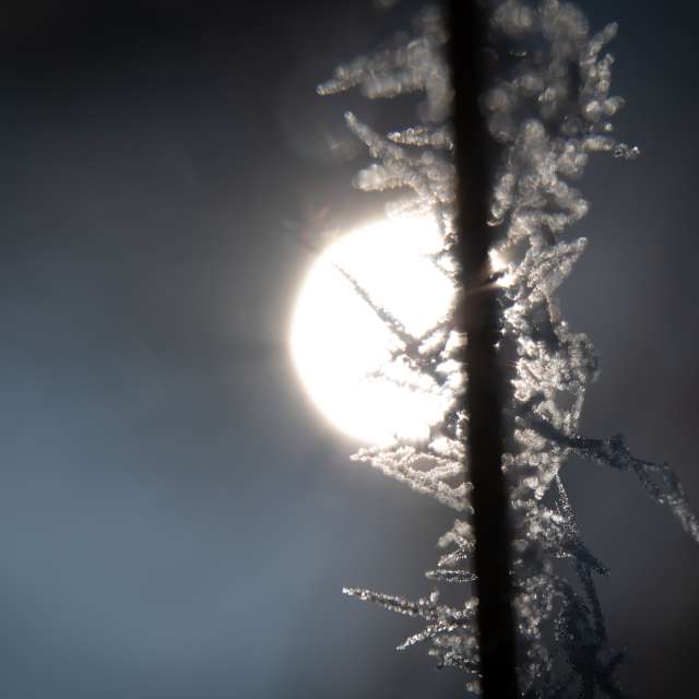 Weather forecasts with beautiful photos by RobertNagaj