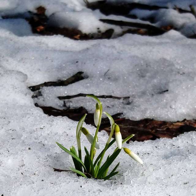 Prévisions météo avec de superbes photos de Jea