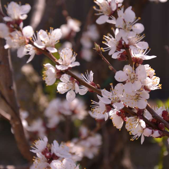 Fotos do tempo em Mundo. Previsões do tempo com lindas fotos de kriotis