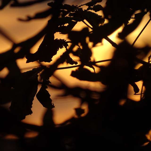 Lit. Weather forecasts with beautiful photos by Михаил Гавриков Photos in Kharkiv