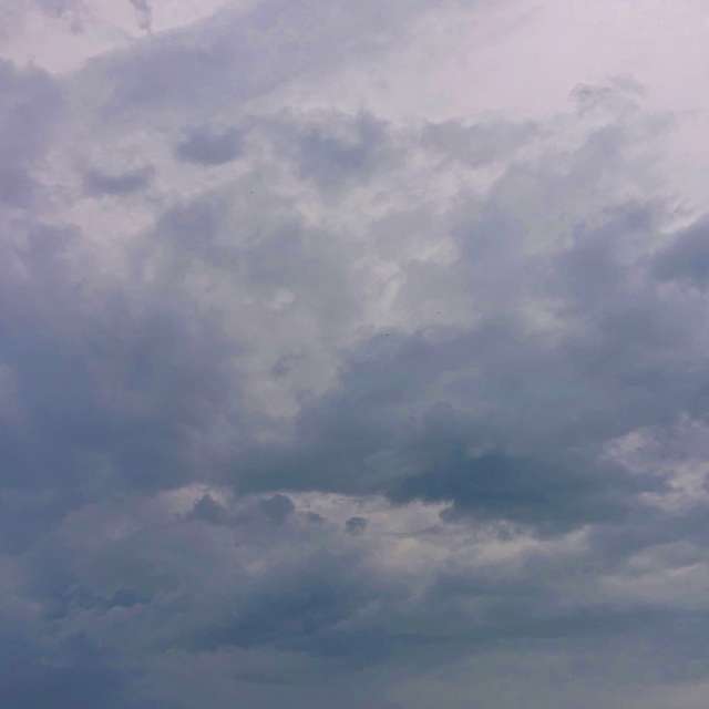 Day. Weather forecasts with beautiful photos by Михаил Гавриков Photos in Kharkiv