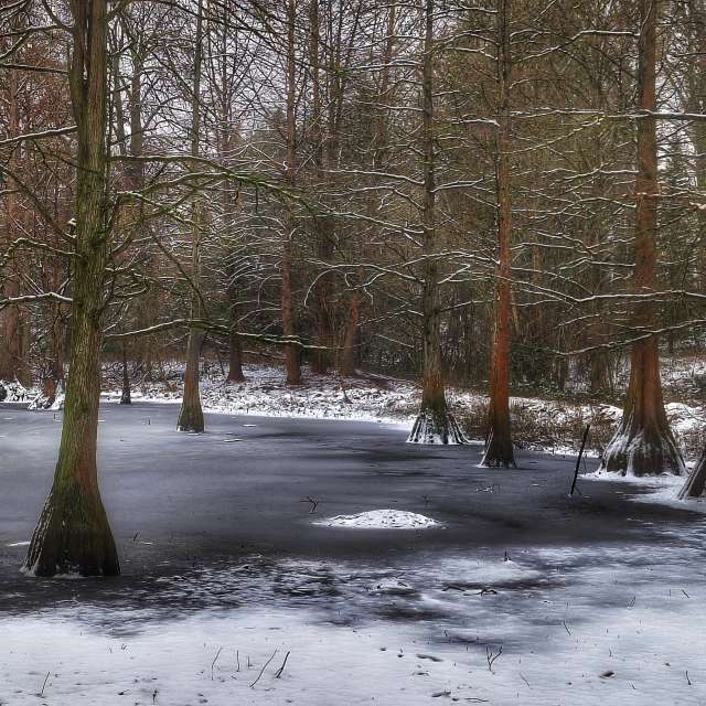 天气预报，带Gweiland精美的照片