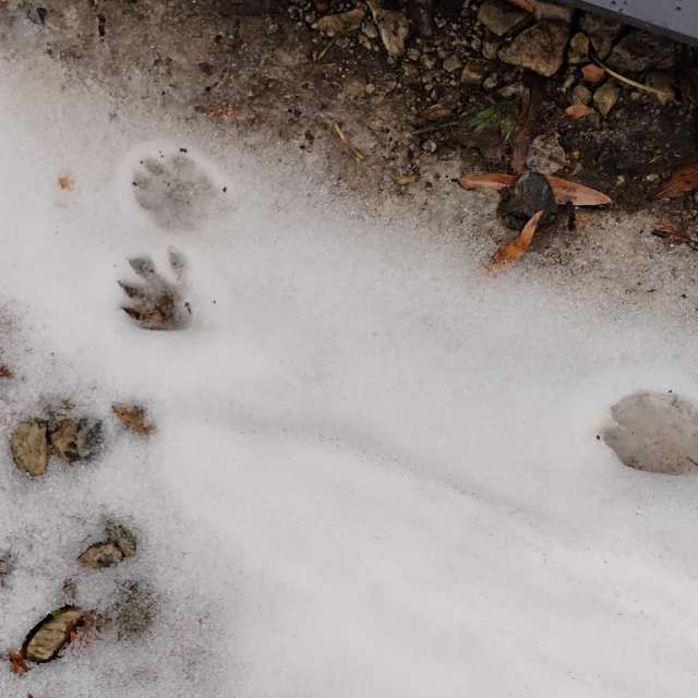 Прогнозы погоды с чудесными фотографиями, сделанными Awcat