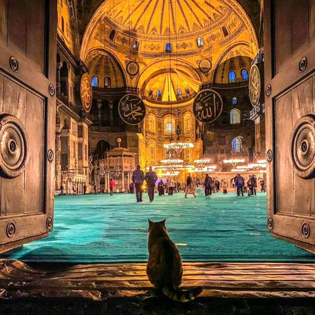 Prévisions météo avec de superbes photos de Wonderman