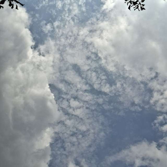 Going. Weather forecasts with beautiful photos by Wen-ya Huang Photos in Kaohsiung City