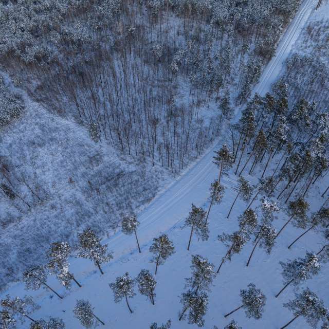 Previsões do tempo com lindas fotos de ooee