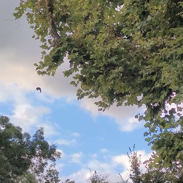 Photos météo à Monde. Prévisions météo avec de superbes photos de YanBog