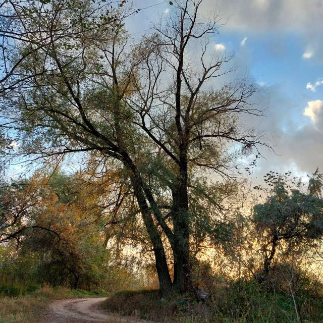 Goof. Weather forecasts with beautiful photos by Iryna Photos in Kharkiv