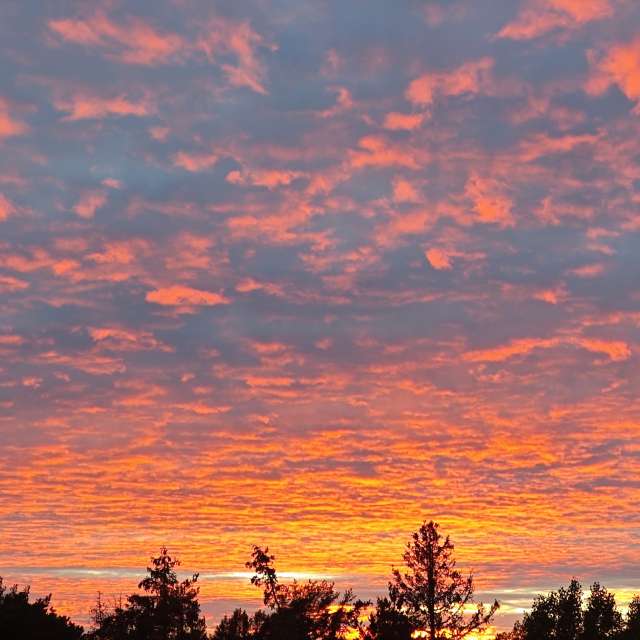 Weather forecasts with beautiful photos by uppsalaunge