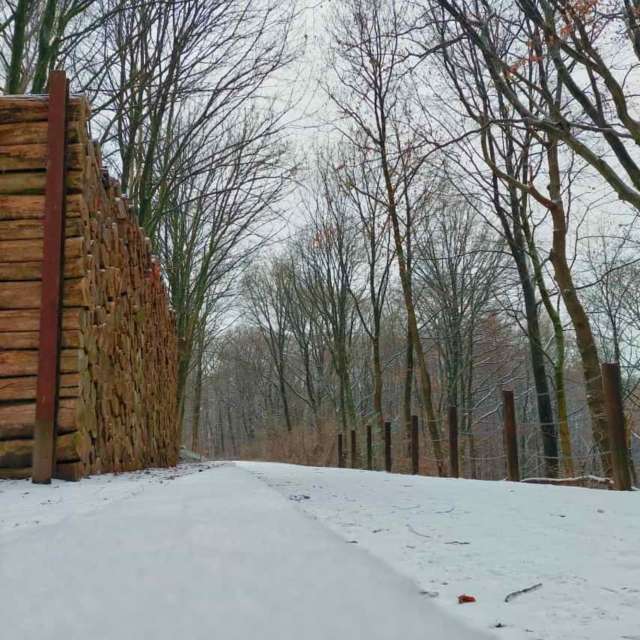 Fotografie Chodník. Predpovede počasia s krásnymi fotografiami od Seni v Velbert