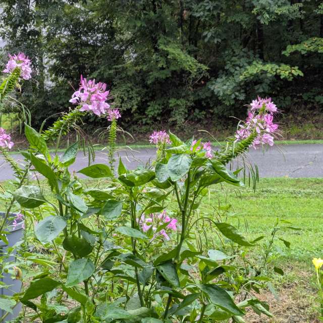 Weather forecasts with beautiful photos by jeannecozzarin