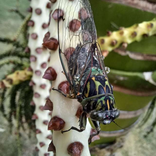 Прогнозы погоды с чудесными фотографиями, сделанными Hikey