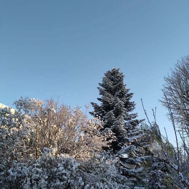 Previsões do tempo com lindas fotos de Clairette