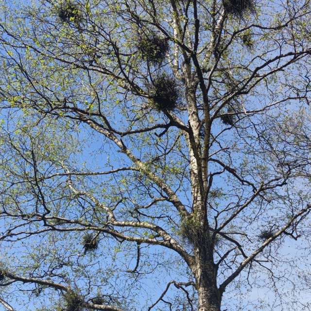 Pronósticos del tiempo con hermosas fotos de Maryous