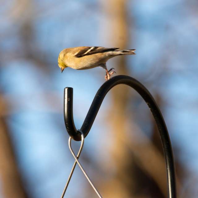 Прогнозы погоды с чудесными фотографиями, сделанными krantzjh