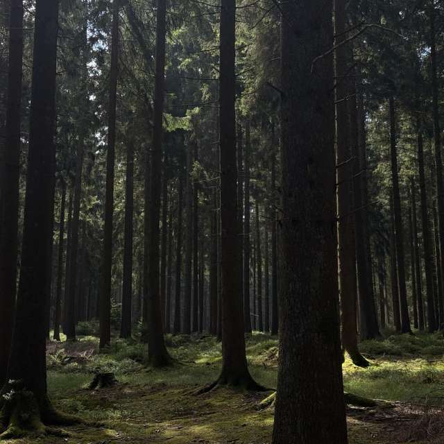 Wettervorhersagen mit schönen Fotos von oakydoki