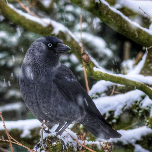 Wood. Weather forecasts with beautiful photos by Lotti5507 Photos in Stockum