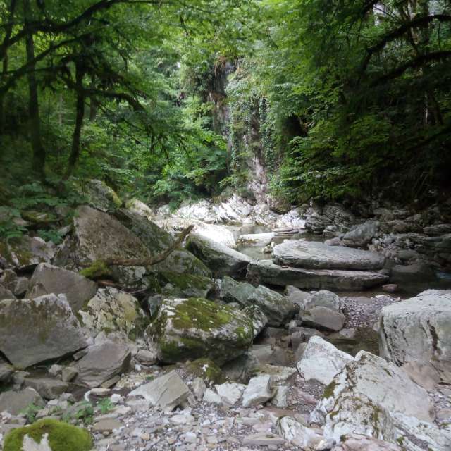 Weather forecasts with beautiful photos by Olga_K