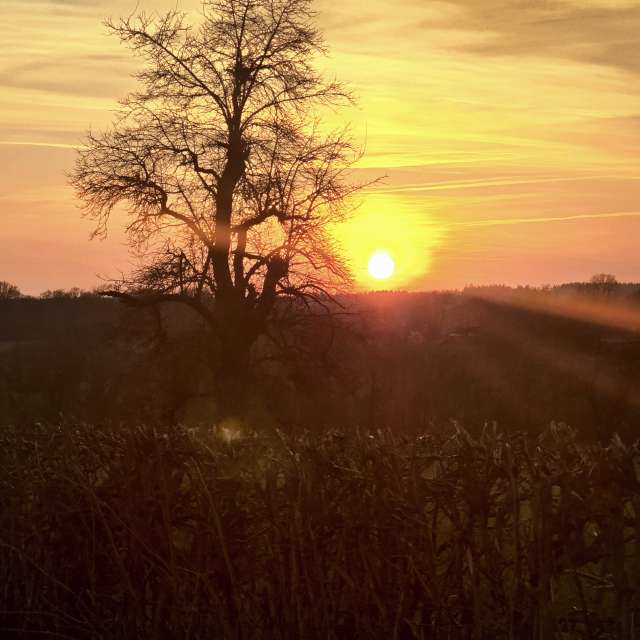 Pronósticos del tiempo con hermosas fotos de TylerDurden
