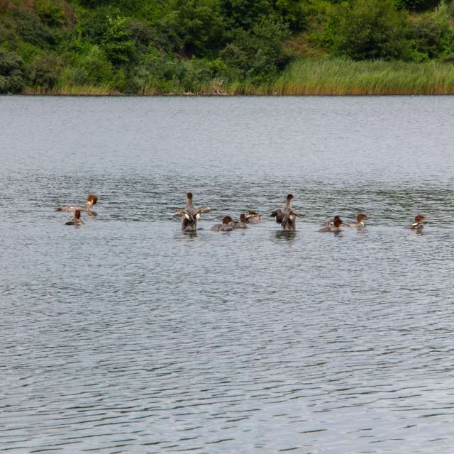 Fotos Clima. Previsões do tempo com lindas fotos de vintilator em Yantarnyy Gorodskoy Okrug