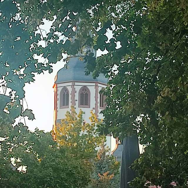 Sidewalk. Weather forecasts with beautiful photos by Tercis Photos in Ettlingen