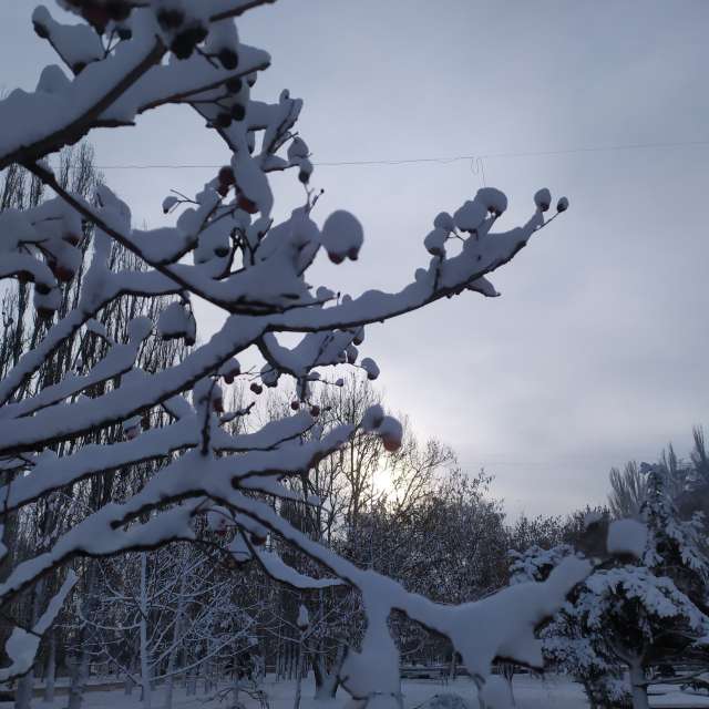 Previsões do tempo com lindas fotos de Elena Chayka