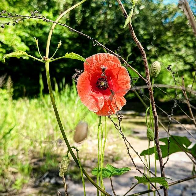 天气预报，带Michael_1969精美的照片