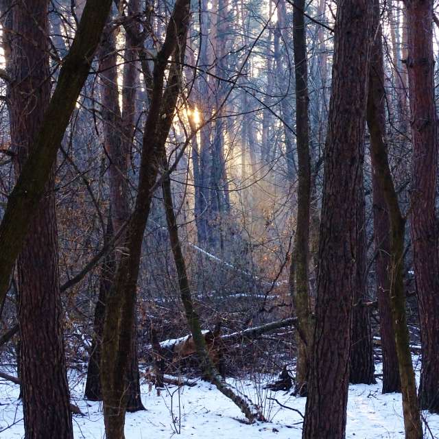 Skiing. Weather forecasts with beautiful photos by Михаил Гавриков Photos in Kharkiv