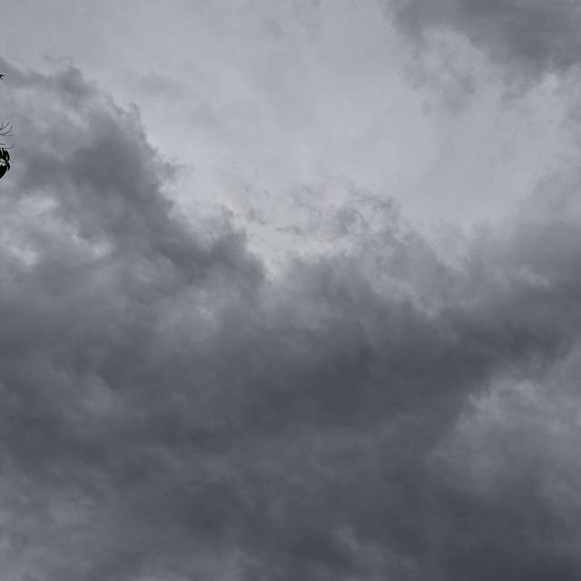 Pole. Weather forecasts with beautiful photos by Wen-ya Huang Photos in Kaohsiung City
