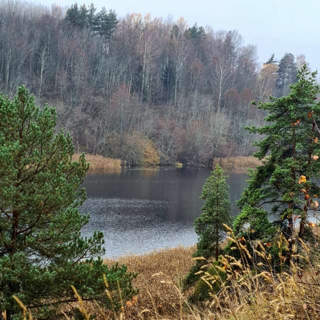 天气预报，带HelenR精美的照片