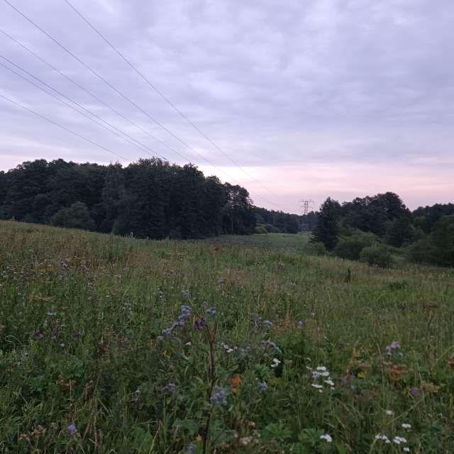 Grazing. Weather forecasts with beautiful photos by Amanda_and_Valdemar_Che Photos in Izmaylovo District