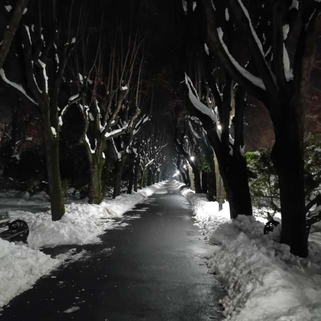 Fotos del Tren. Pronósticos del tiempo con hermosas fotos de YanBog en București