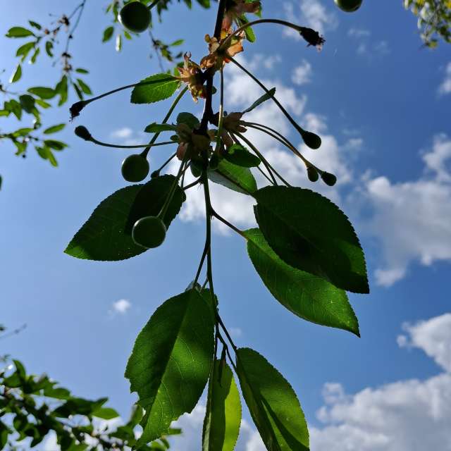 Airplane. Weather forecasts with beautiful photos by urashm Photos in Khmelnytskyi