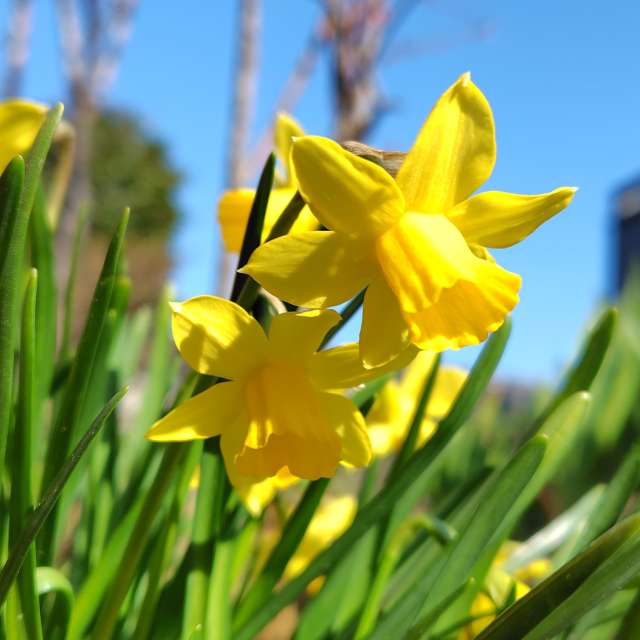 Weather Photos in World. Weather forecasts with beautiful photos by umemui