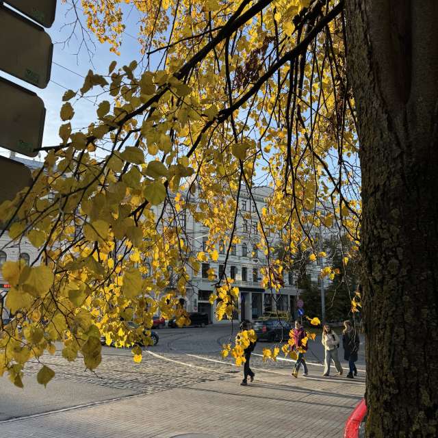Bench. Weather forecasts with beautiful photos by Svet-Lana Photos in Rīga