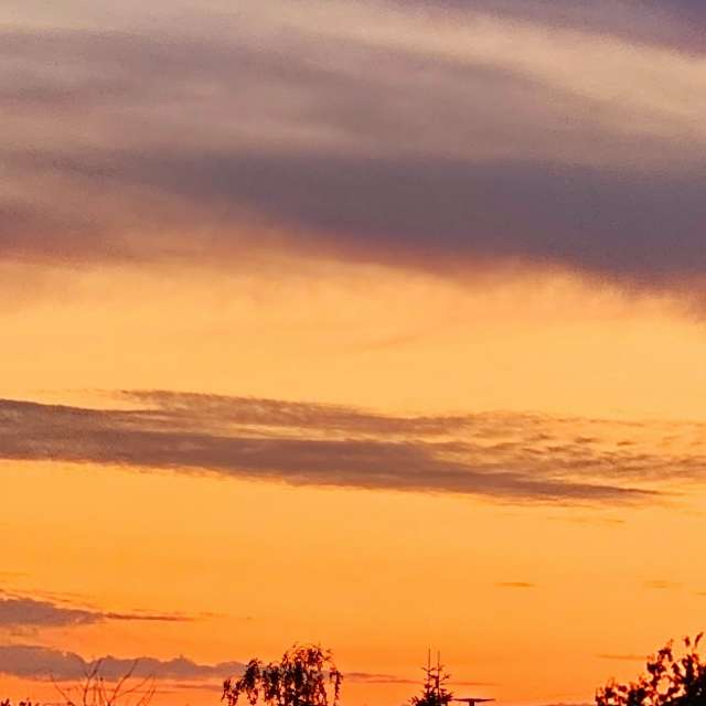 Flock. Weather forecasts with beautiful photos by Seni Photos in Velbert