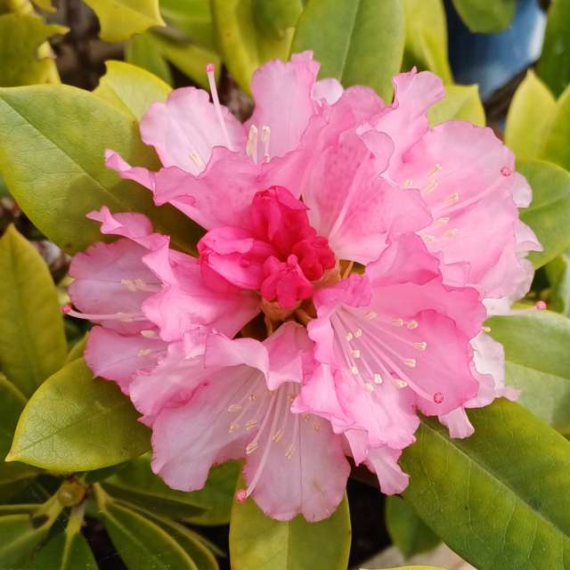 Photos Debout. Prévisions météo avec de superbes photos de Lolli de Maidstone