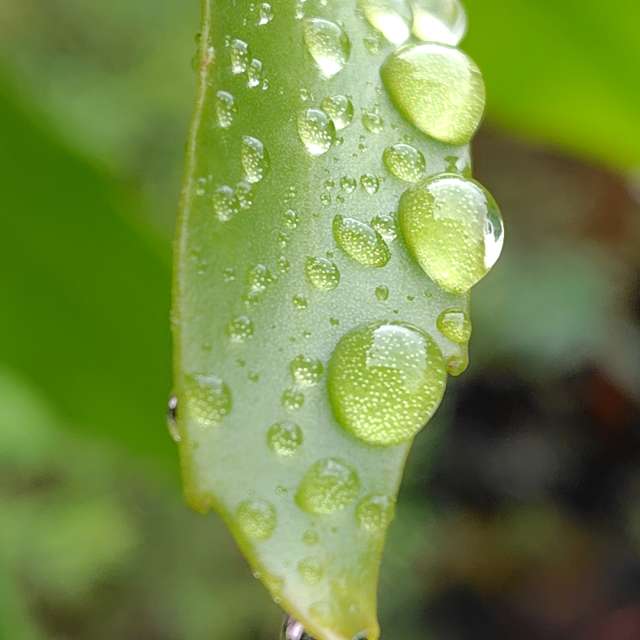 Weather Photos in World. Weather forecasts with beautiful photos by umemui